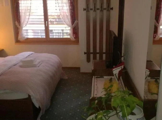 Hotel Touristen-chalet