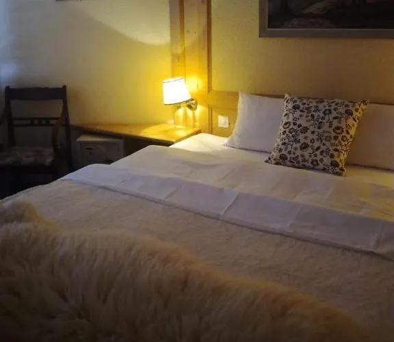 فندق Touristen-chalet 3*