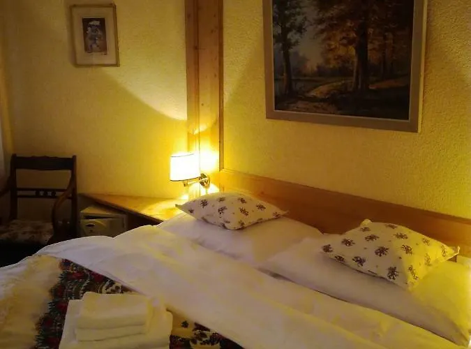 فندق Touristen-chalet 3*